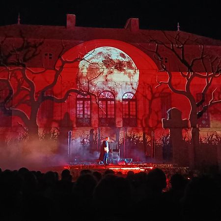 维耶拉度假住宿加早餐旅馆 Viella  外观 照片